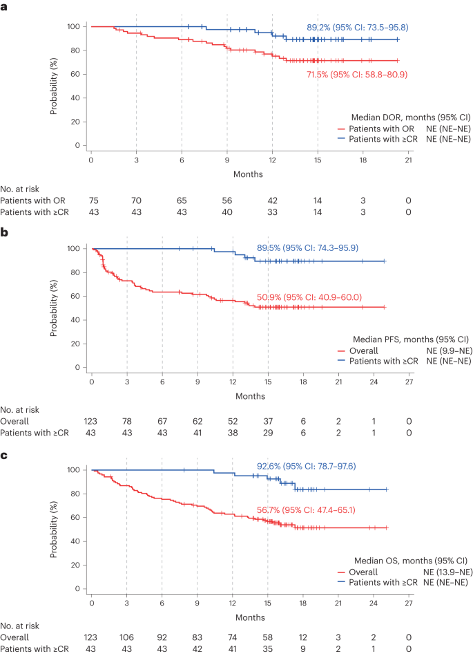 Fig. 3: Kaplan–Meier analysis of DOR, PFS and OS.