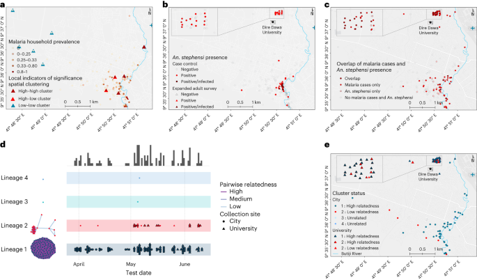 case study malaria epidemic figure 3