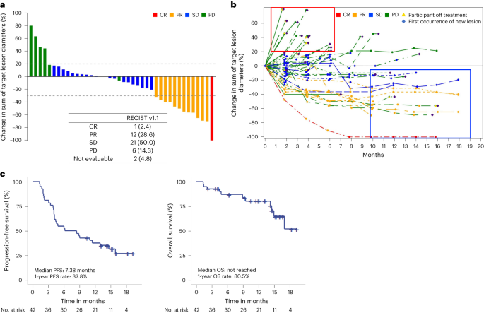 Fig. 2: Clinical outcomes of regorafenib–nivolumab.