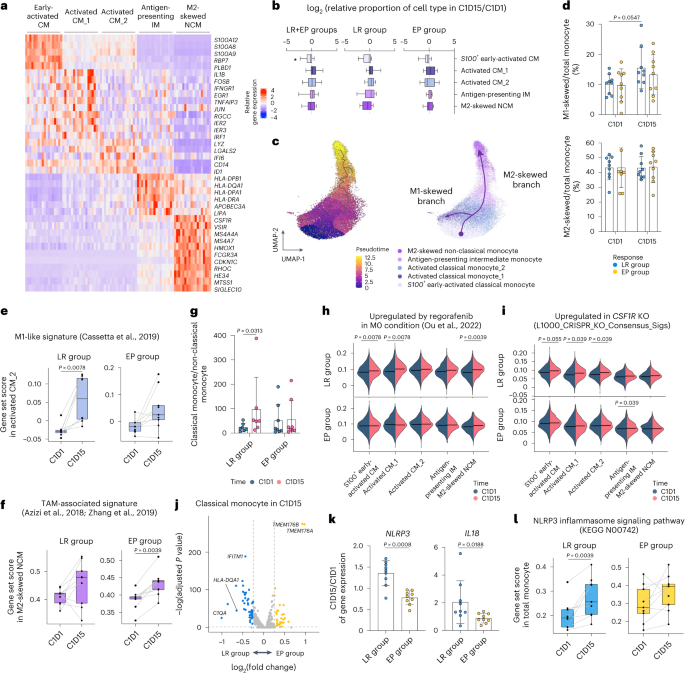 Fig. 4: Dynamic monocyte response.