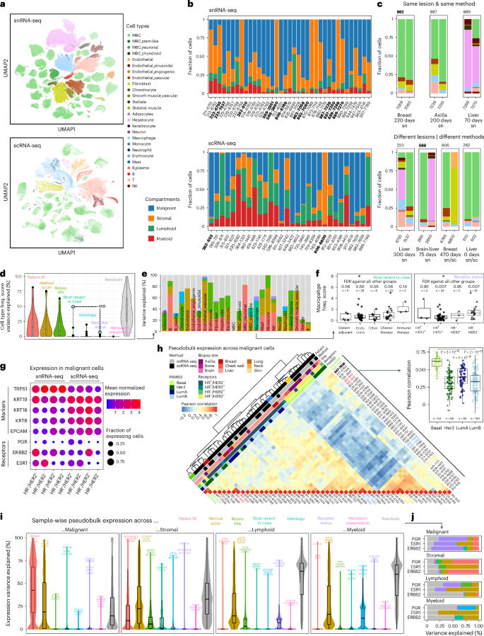 Fig. 2: Cell type composition and expression variance in snRNA-seq and scRNA-seq data.