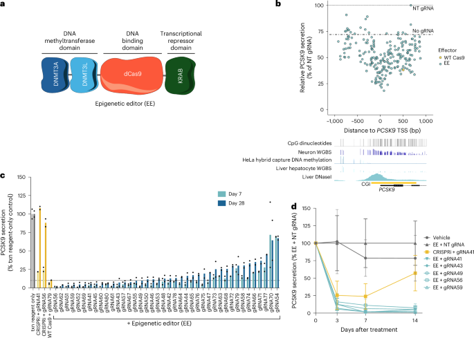 Fig. 1: In vitro activity of EEs targeting human PCSK9 in immortalized cells and PHHs.