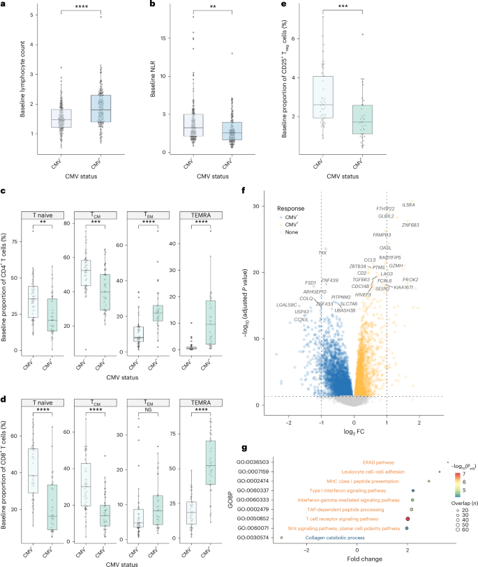 Fig. 1: Baseline hematological and immunological associations of CMV infection in patients with melanoma.