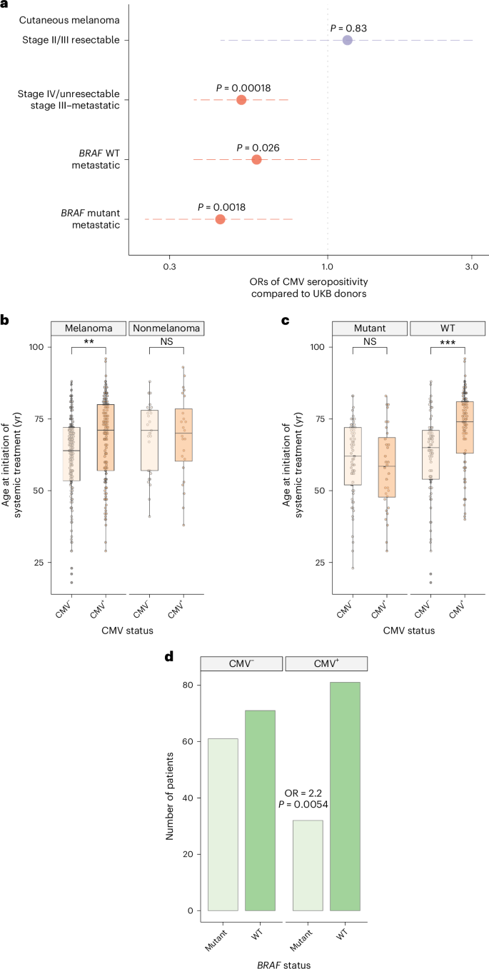 Fig. 6: CMV interacts with MM epidemiology in a BRAF-mutation-dependent manner.
