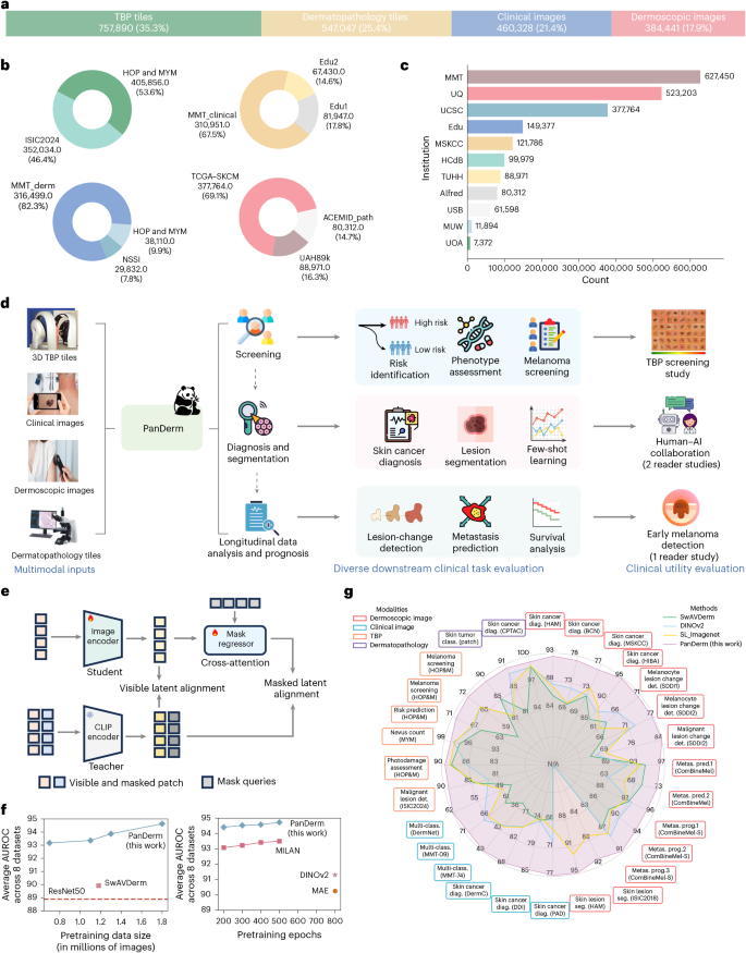 Fig. 1: Overview of this study.