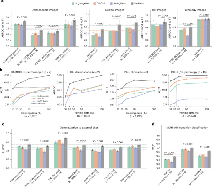 Fig. 2: PanDerm’s versatile capacity in diverse diagnosis tasks.