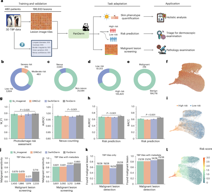 Fig. 4: Skin phenotype assessment and malignant lesion screening using TBP.