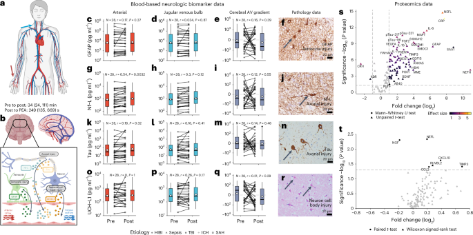 Fig. 5: Comparison of blood-based neurologic biomarkers taken before WLST and during the dying process.