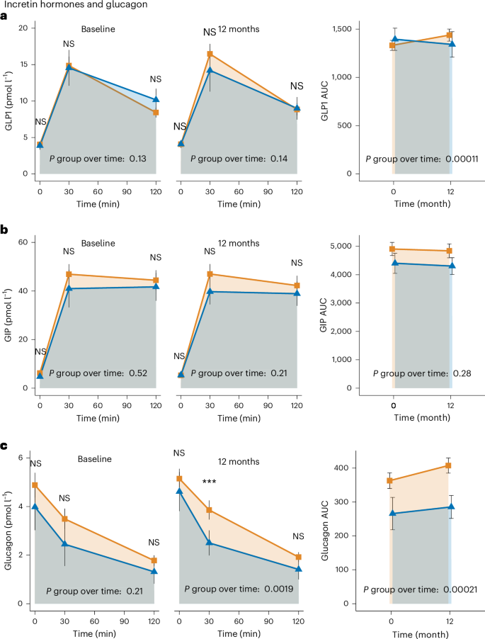 Fig. 5: Incretin hormones and glucagon.