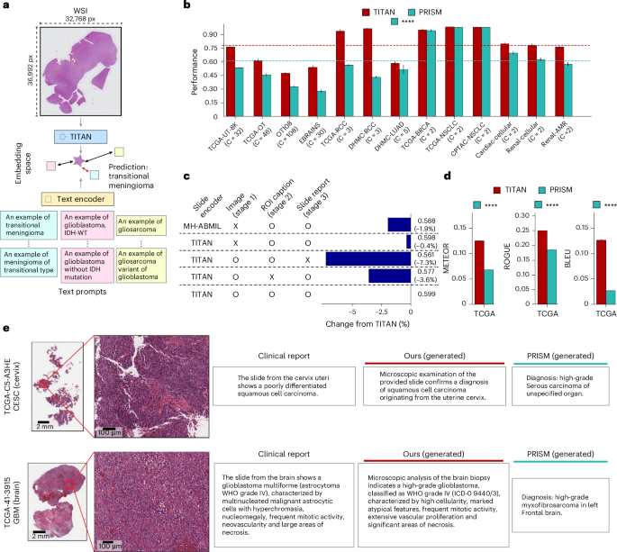 Fig. 3: Visual-language evaluation of TITAN.