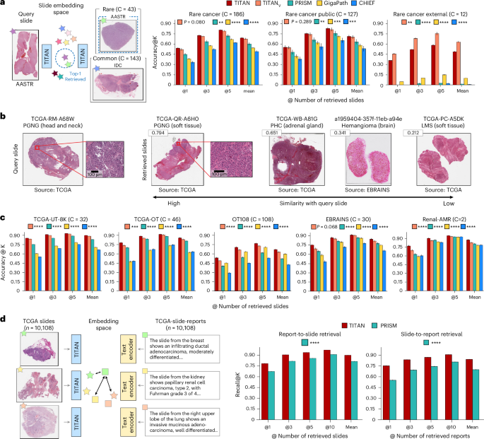 Fig. 4: Retrieval capabilities of TITAN.