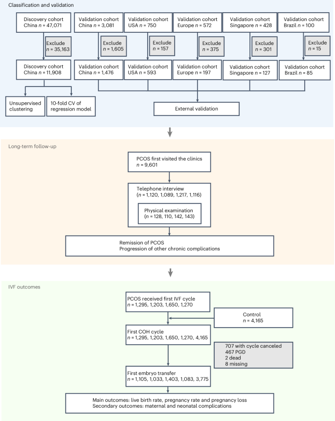 Fig. 1: Flow chart of study design.