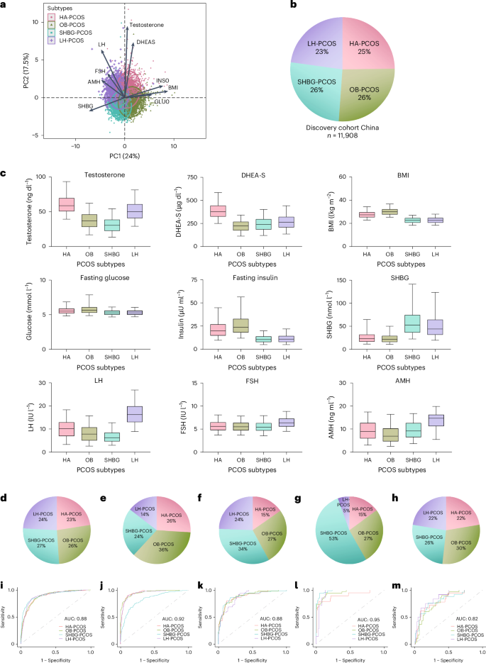 Fig. 2: Classification and validation of PCOS subtypes.