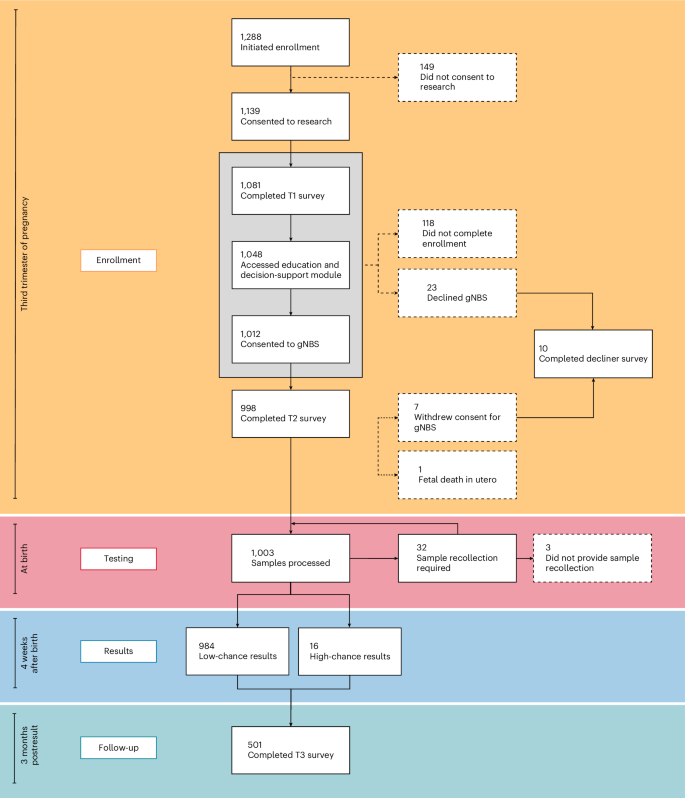 Fig. 1: Participation in BabyScreen+.