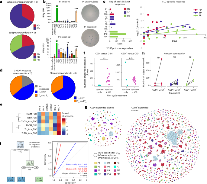Fig. 2: TCR repertoire changes and functional vaccine reactivity correlate with response to therapy.