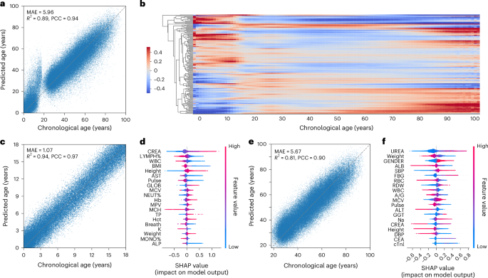BA 예측 및 임상 지표 기여도