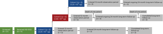 Fig. 1: Patient disposition.