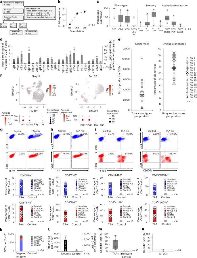 Fig. 1: Patient distribution and mTAA T cell characterization studies.