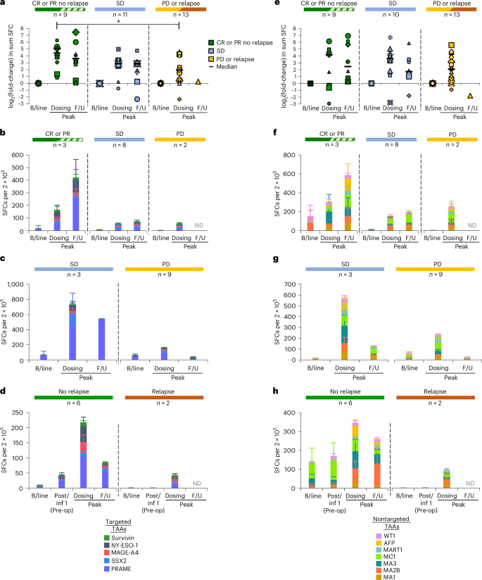 Fig. 3: In vivo T cell activity.