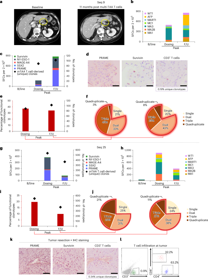 Fig. 4: Individual clinical and immune correlative data.