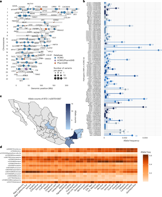 Fig. 1: Distribution and allele frequency of clinically relevant and actionable variants across the genome and in the MXB.