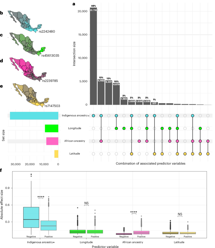 Fig. 4: Geographic and ancestry-related contributions to genetic variation in the MXB.