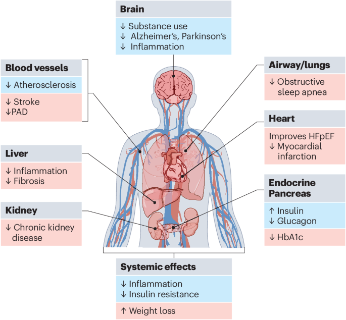 is glp 1 safe for non diabetics livfitty