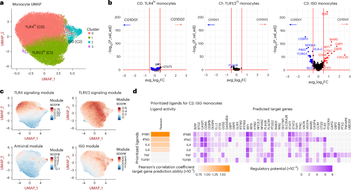 Fig. 3: Anti-PD-1 therapy increases monocyte frequencies and ISG expression within 24 hours.