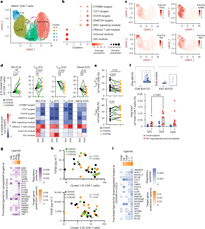Fig. 4: Frequencies of ISG-expressing CD8+ T cells in peripheral blood increase within 24 hours of anti-PD-1 therapy.