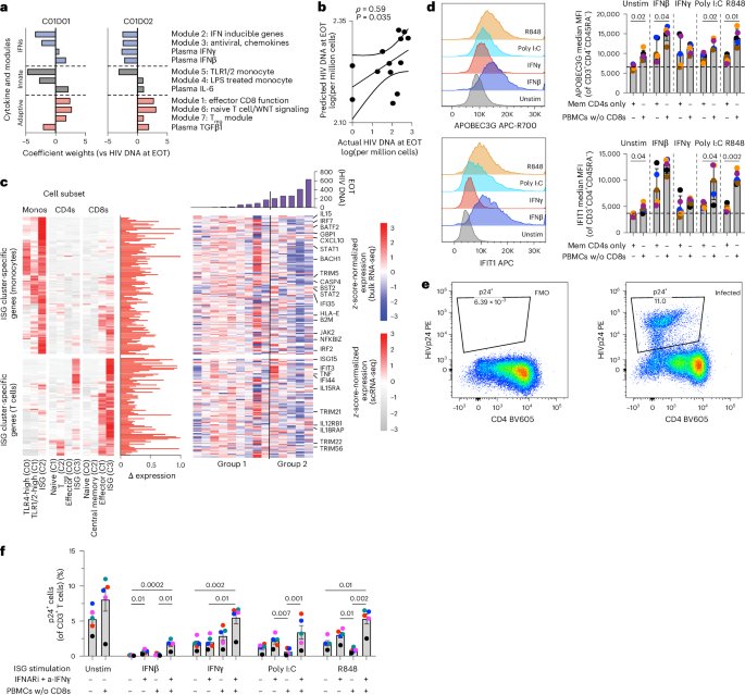 Fig. 6: IFN agonists in the presence of myeloid cells protect CD4+ T cells from HIV challenge.