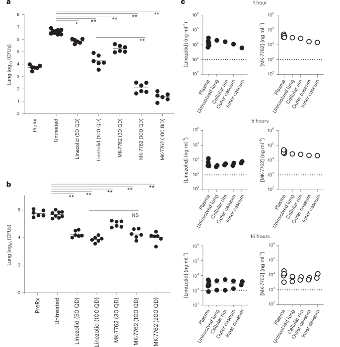 Fig. 4: In vivo efficacy and lesion penetration of MK-7762.
