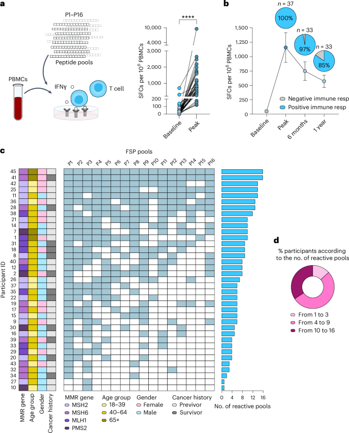Fig. 2: Nous-209 elicits potent and broad neoAg-specific T cell responses in LS carriers.