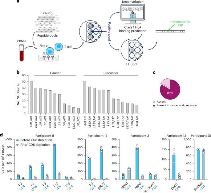 Fig. 3: Immunogenic FSPs are present in cancer and precancer lesions of LS carriers from an independent cohort.