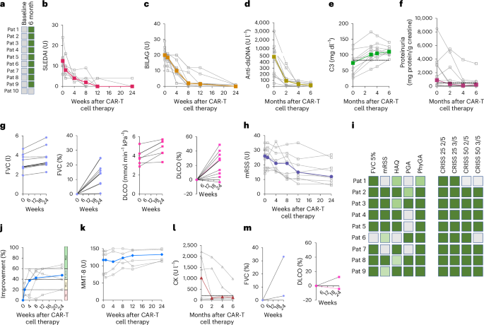Fig. 3: Clinical efficacy of CAR-T cell treatment.