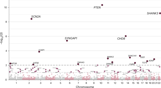 Fig. 4: Manhattan plot of autism genes identified in Latin American participants.