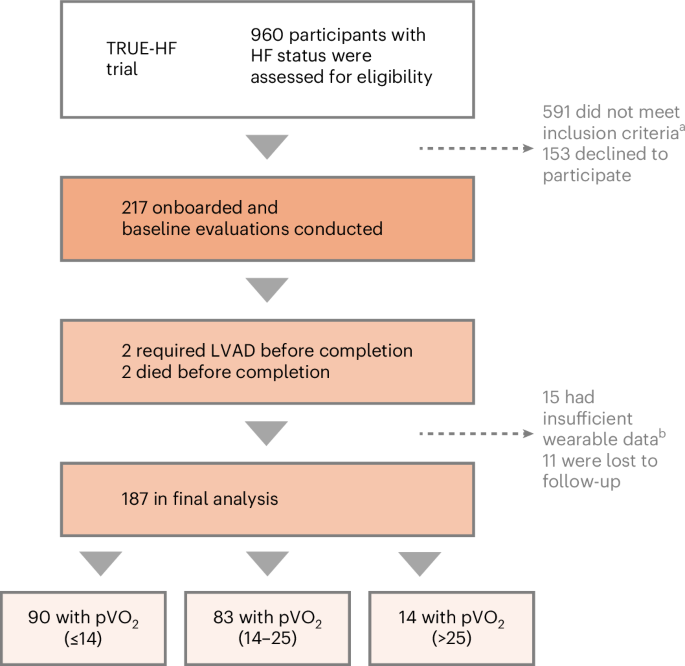 Fig. 2: Consort diagram for the TRUE-HF study.