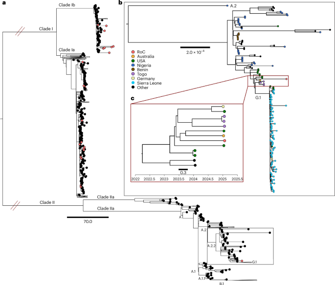 Fig. 2: Phylogenetic analysis of MPXV nucleotide sequences of all clades and lineages.