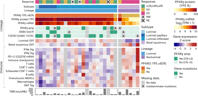 Fig. 4: Relationship between UCs with high PPARγ protein expression, other molecular features and radiographic response to FX-909 (N = 29).