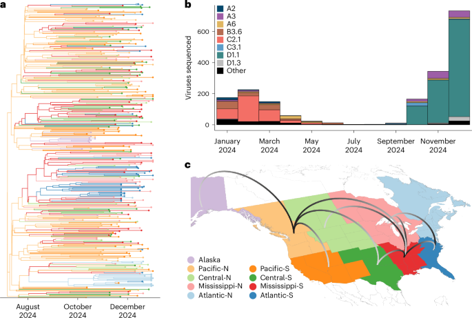 Fig. 1: Surveillance and phylodynamics and A(H5N1) genotype D1.1.
