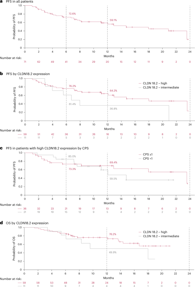 Fig. 2: Survival outcomes in cohort 4B in the safety analysis set.
