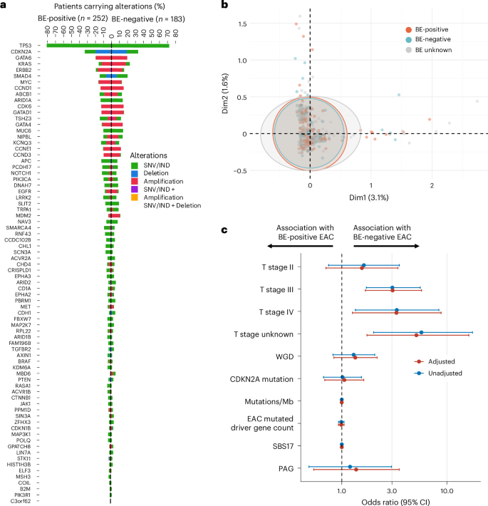 Fig. 3: Comparative analysis of genomic variations and stage differences in EAC between BE-positive and BE-negative phenotypes.