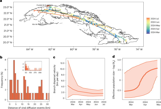 Fig. 2: Spatiotemporal dynamics of the OROV-CU clade.