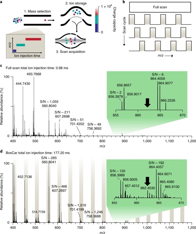 BoxCar acquisition method enables single-shot proteomics at a depth of  10,000 proteins in 100 minutes | Nature Methods