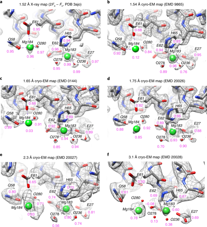 Measurement Of Atom Resolvability In Cryo Em Maps With Q Scores Nature Methods