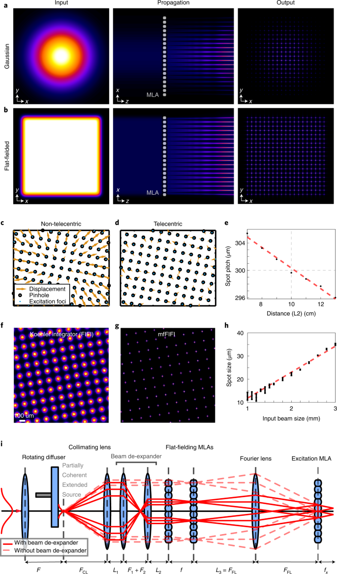 Homogeneous Multifocal Excitation For High Throughput Super Resolution Imaging Nature Methods Homogeneous Multifocal Excitation For High Throughput Super Resolution Imaging Nature Methods