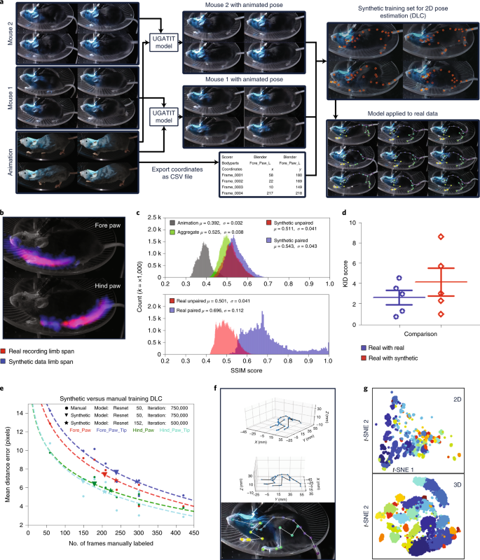 A three-dimensional virtual mouse generates synthetic training data for  behavioral analysis