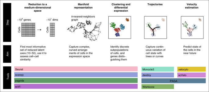 The triumphs and limitations of computational methods for scRNA 