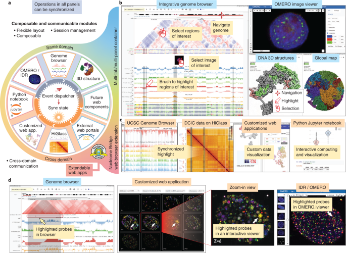 Fig. 1: Nucleome Browser facilitates integrative and multimodal data navigation.