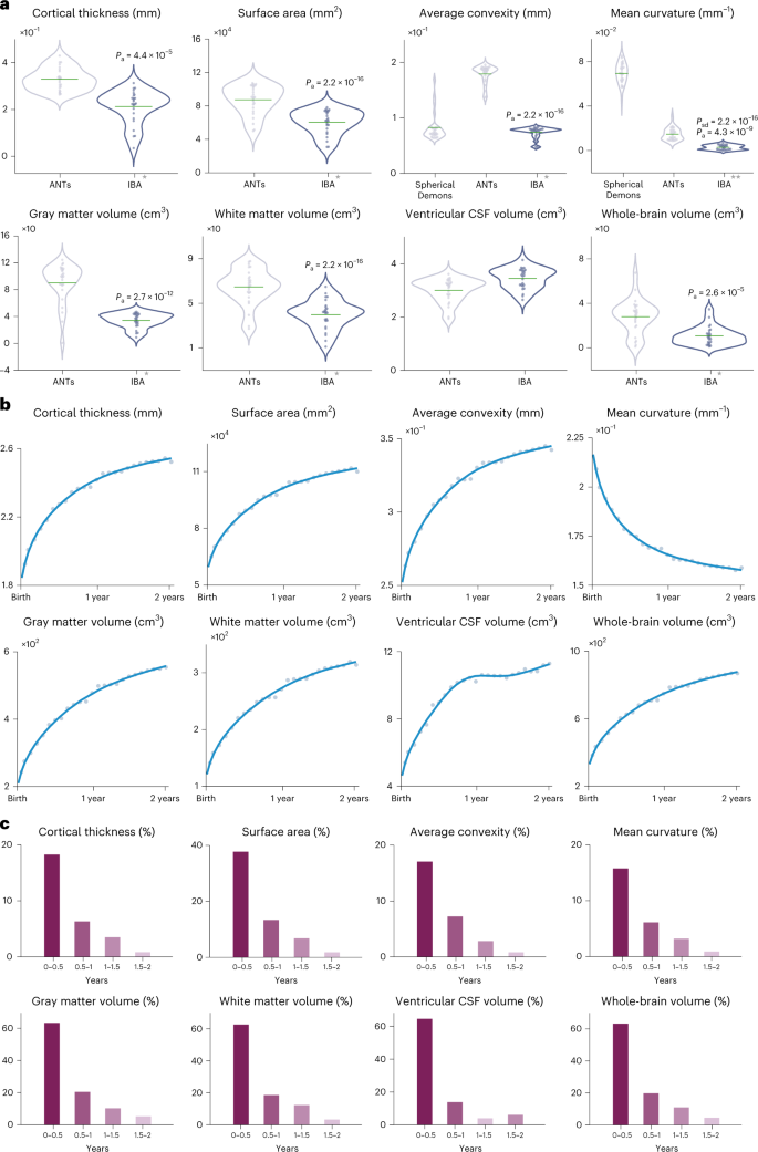 A multifaceted gradient in human cerebellum of structural and functional  development