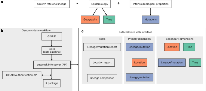 Fig. 1: outbreak.info enables the exploration of genomic data across three dimensions.